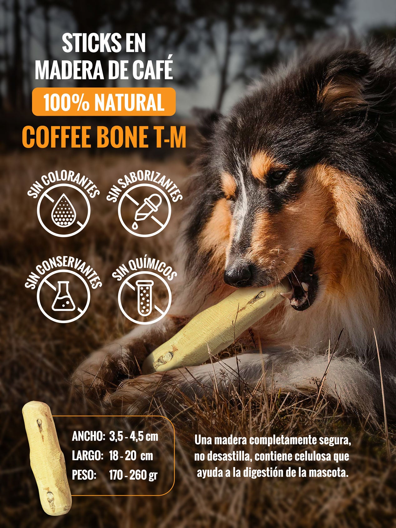 Limpiador de fricción natural, hecho de madera de Café para mascotas- COFFEE BONE Mediano