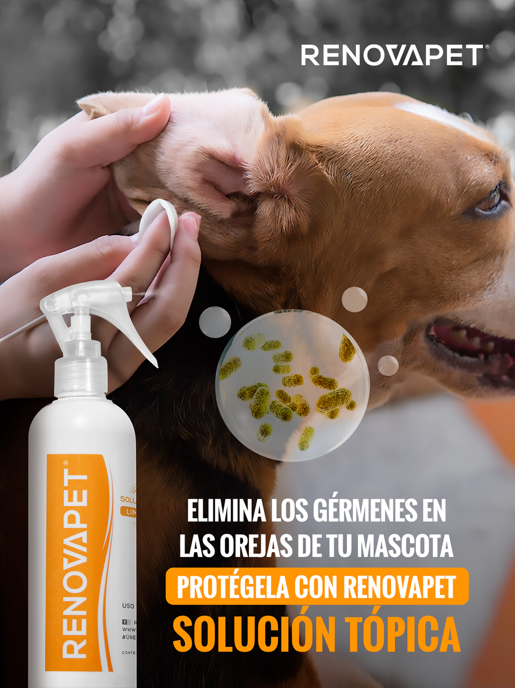 Limpiador de piel, pelaje y patas de perros y gatos | Renovapet Solución Tópica Limpiadora 250 mL. Reg. ICA: 11318-CV
