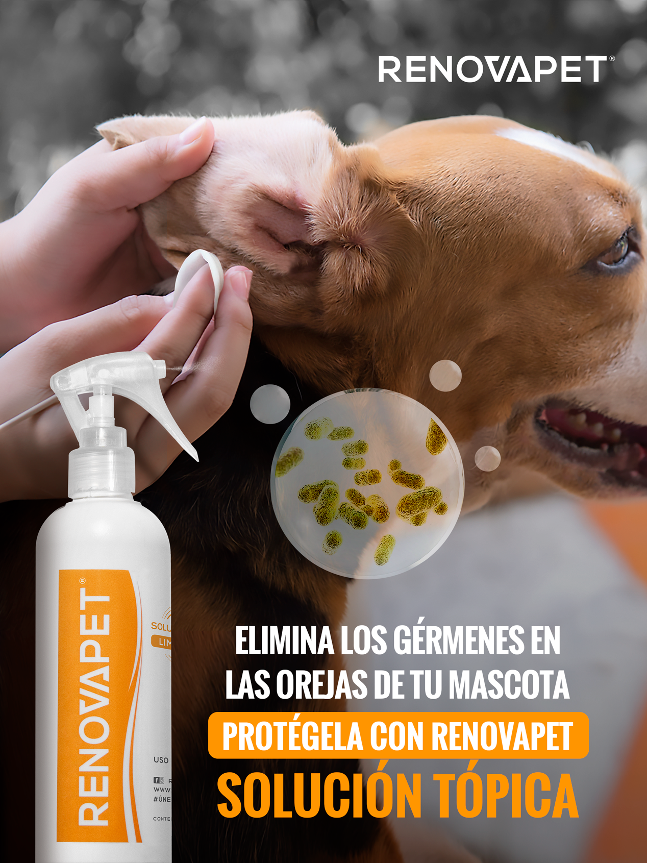 Limpiador de piel, pelaje y patas de perros y gatos | Renovapet Solución Tópica Limpiadora 250 mL. Reg. ICA: 11318-CV