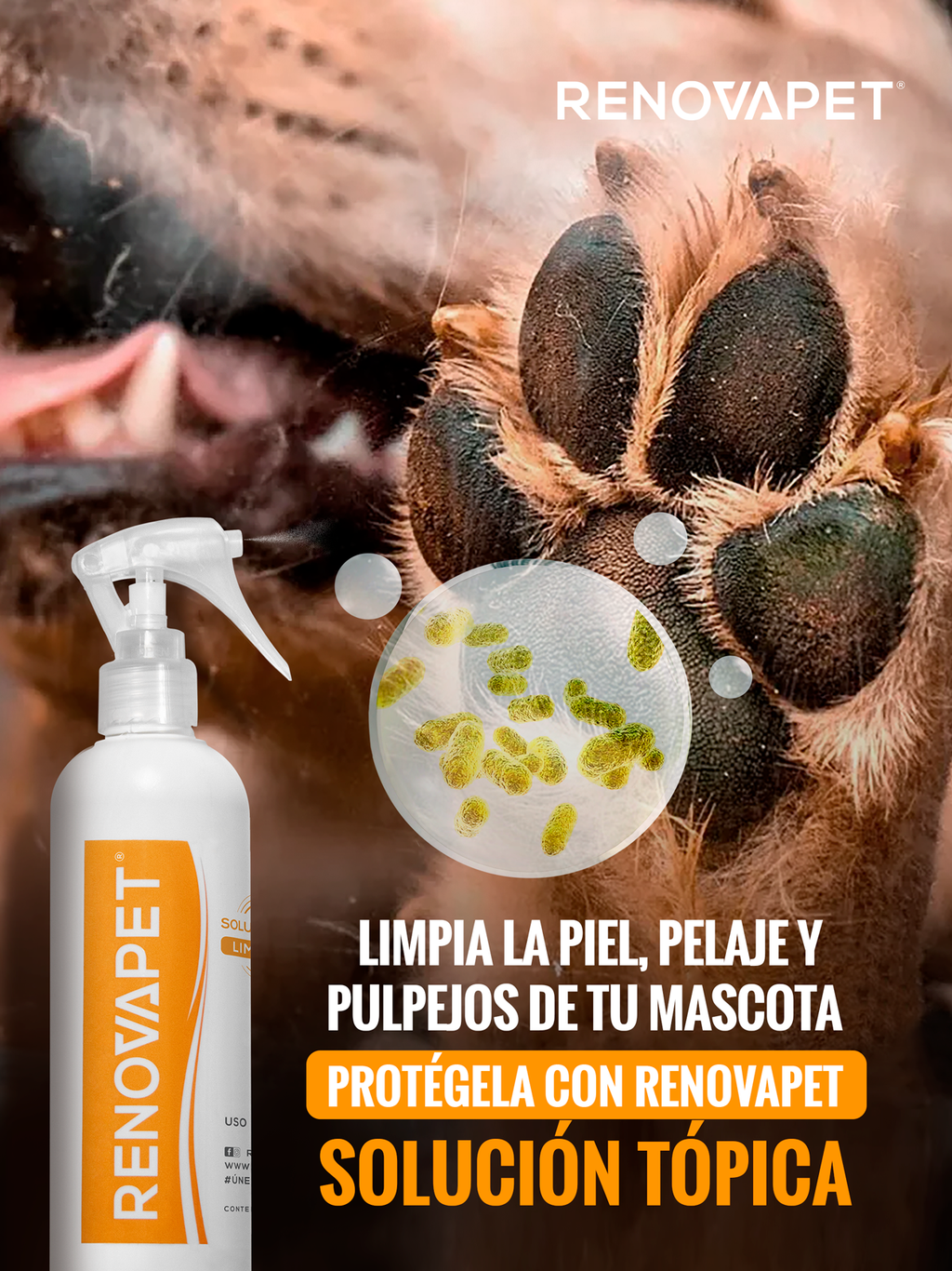 Limpiador de piel, pelaje y patas de perros y gatos | Renovapet Solución Tópica Limpiadora 250 mL. Reg. ICA: 11318-CV