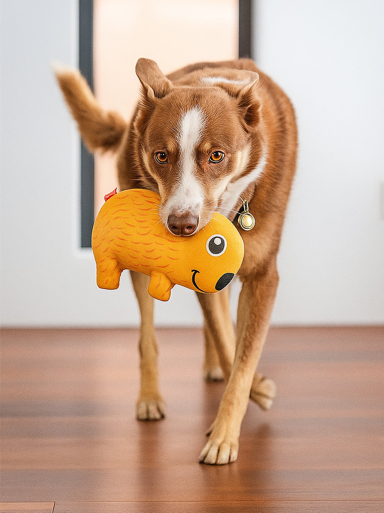 Juguete perro ultra durable - Wombat - RED DINGO