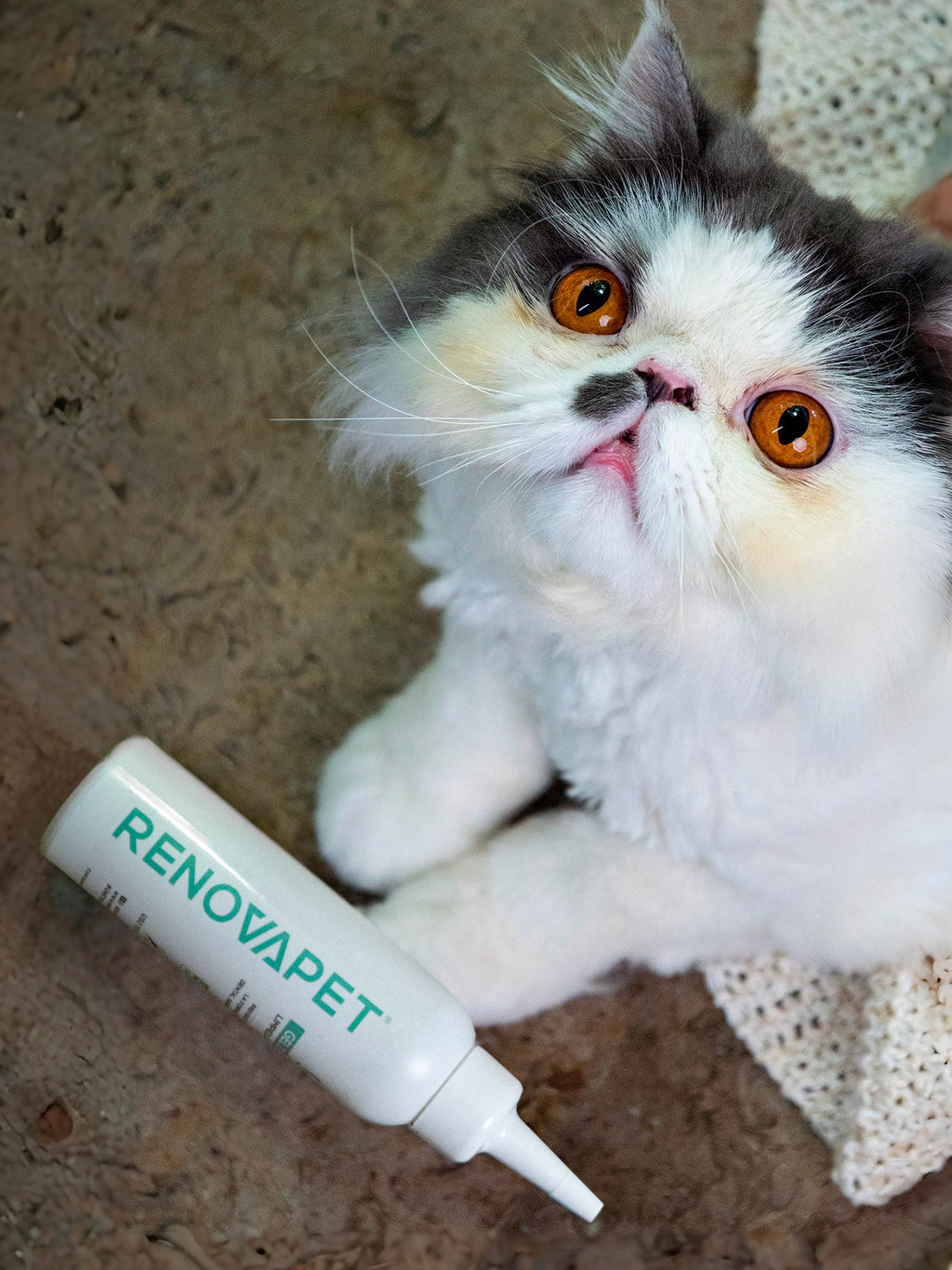 Dientes limpios y encías protegidas para perros y gatos | Renovapet Gel Dental con cepillo de silicona Ultra Care 250 gr. Reg. ICA 11530-CV