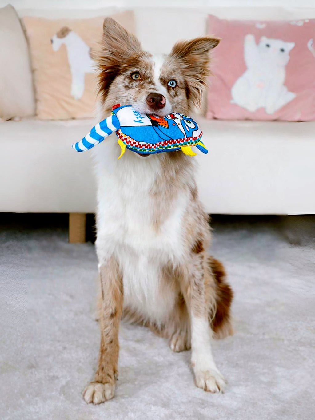 JUGUETE PERRO MOODY RACCON  DE PELUCHE - SKU: GWTAS01S