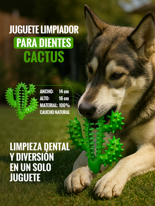 Juguete limpiador para dientes Cactus