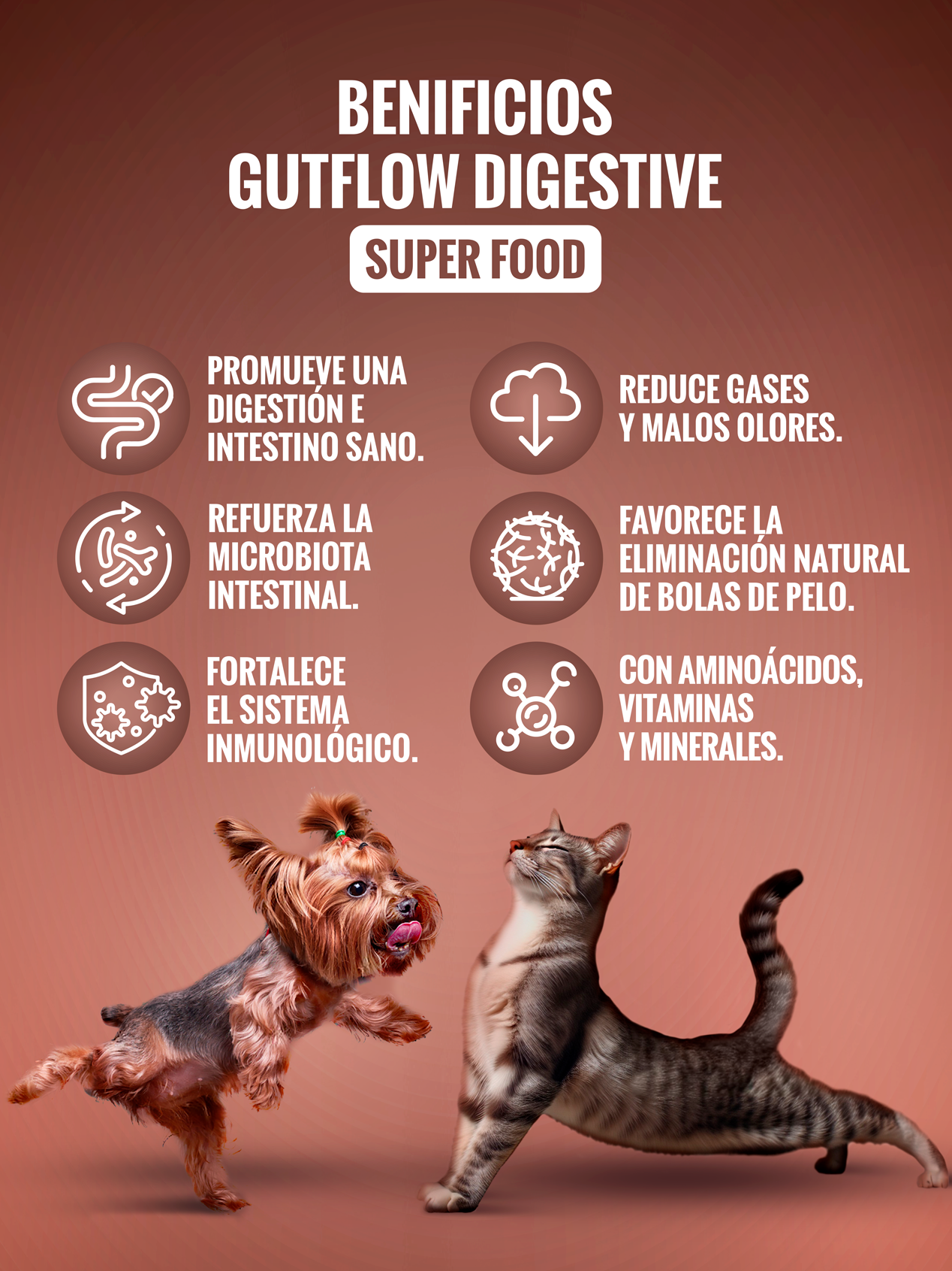 Suplemento para mejorar la salud digestiva y fortalecer el sistema inmunológico | Gutflow Digestive con sabor a carne ahumada. Reg. ICA: 23423SL