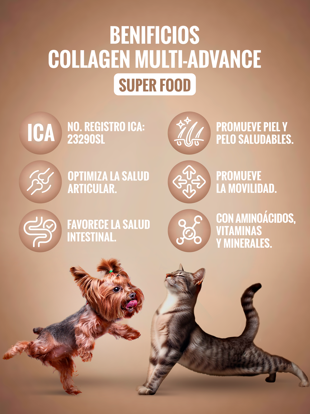 Suplemento para fortalecer la movilidad y articulaciones de tu mascota | Colágeno Multi-Advance con sabor a carne ahumada. Reg. ICA: 23290SL