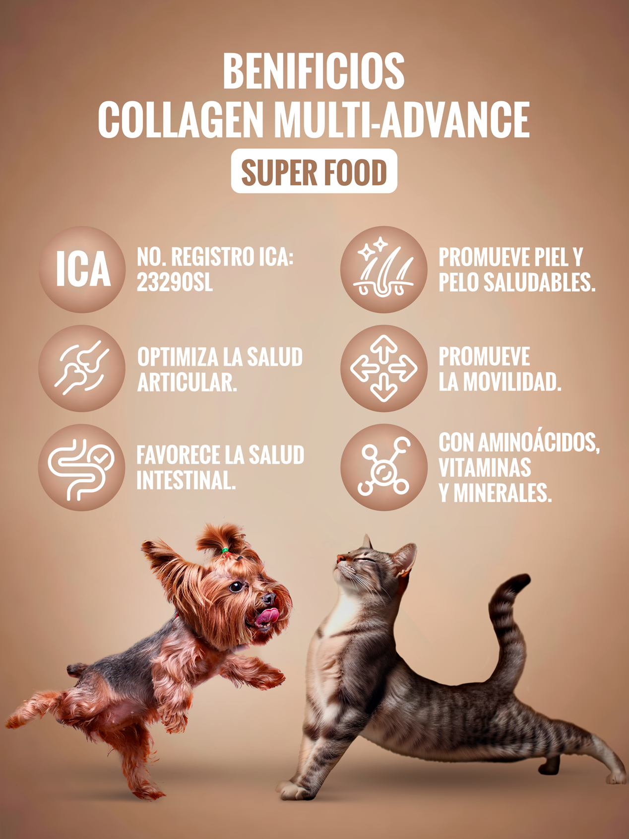 KIT x3 unid de Colágeno Multi-Advance 300 grs - Suplemento para fortalecer la movilidad y articulaciones de tu mascota