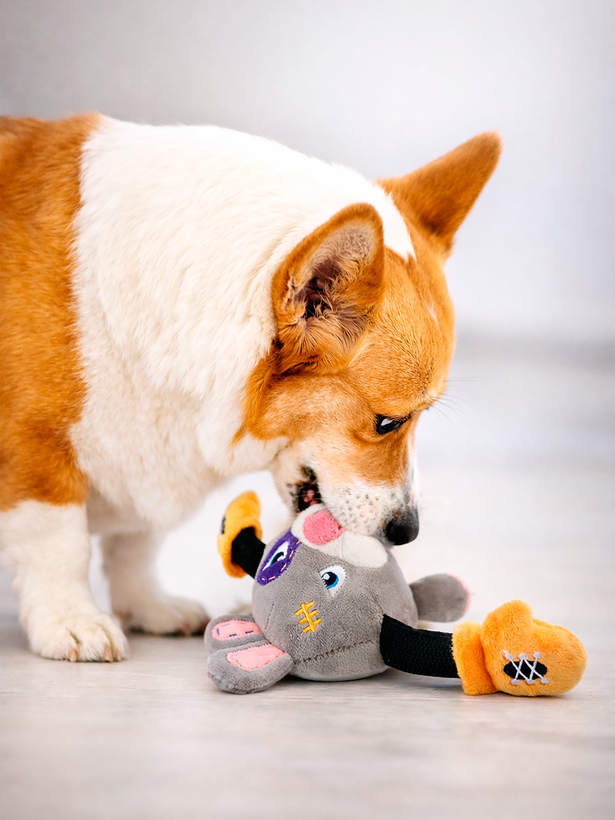 KING BOXER – JUGUETE INTERACTIVO GIGWI PARA PERROS CON CHILLADOR Y PAPEL CRUJIENTE, PELUCHE RESISTENTE - CERDO SKU: GWKBCS01 - CONEJO SKU: GWKBGS01