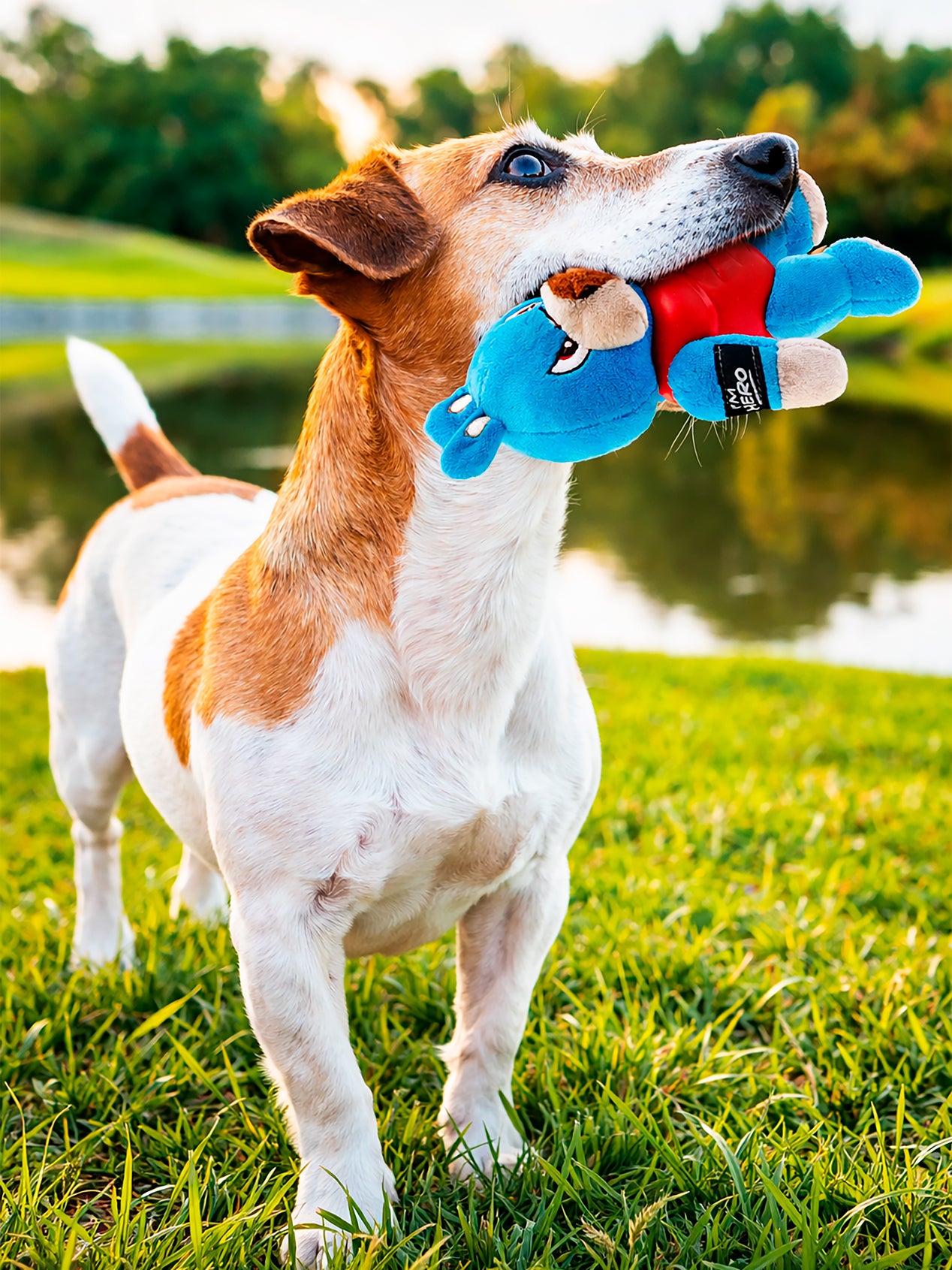 PELUCHE PARA PERRO GIGWI I’M HERO CON SONIDO – JUGUETE RESISTENTE, INTERACTIVO Y DISEÑO DURADERO PARA PERROS - CONEJO SKU: GWHRCS01 - HIPOPÓTAMO SKU: GWHRHS01