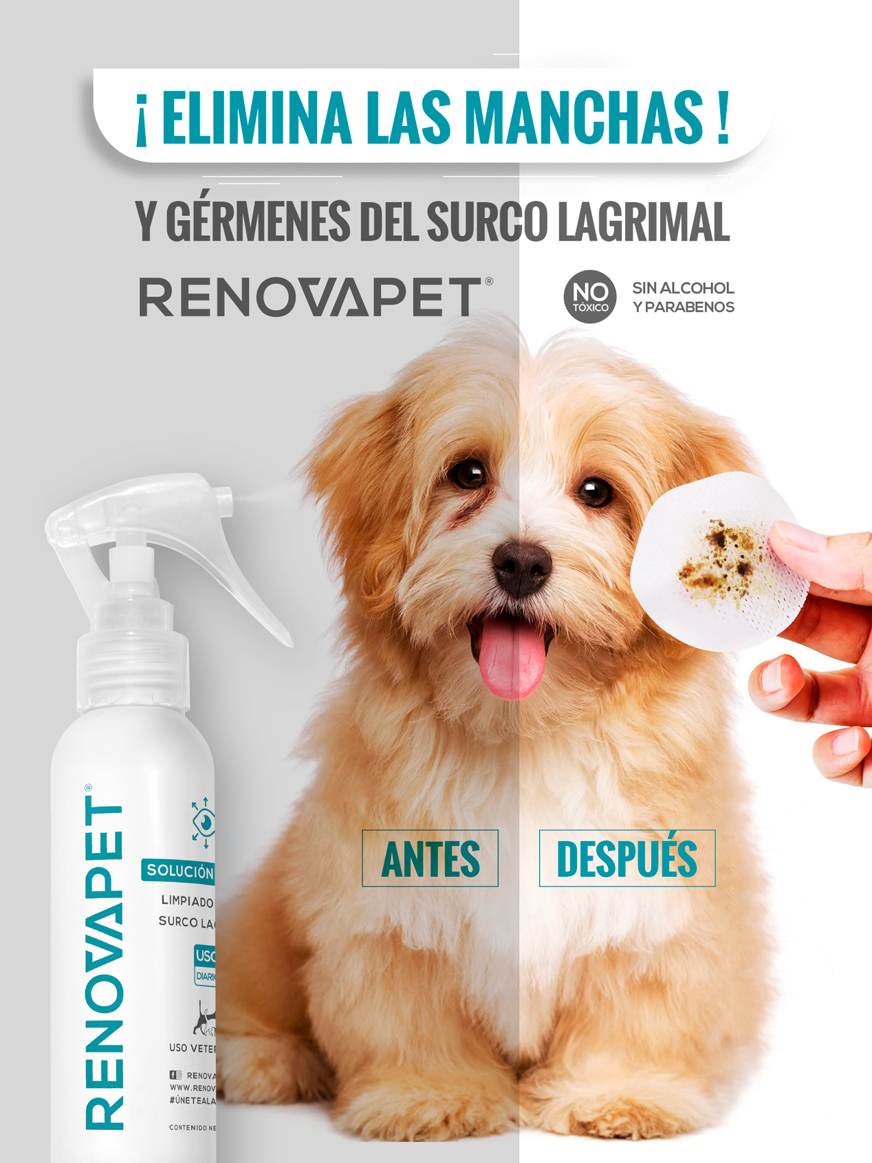 Limpiador de manchas del surco lagrimal para mascotas | Renovapet Solución Tópica Limpiadora Del Surco Lagrimal 120mL. Reg. ICA: 11260-CV
