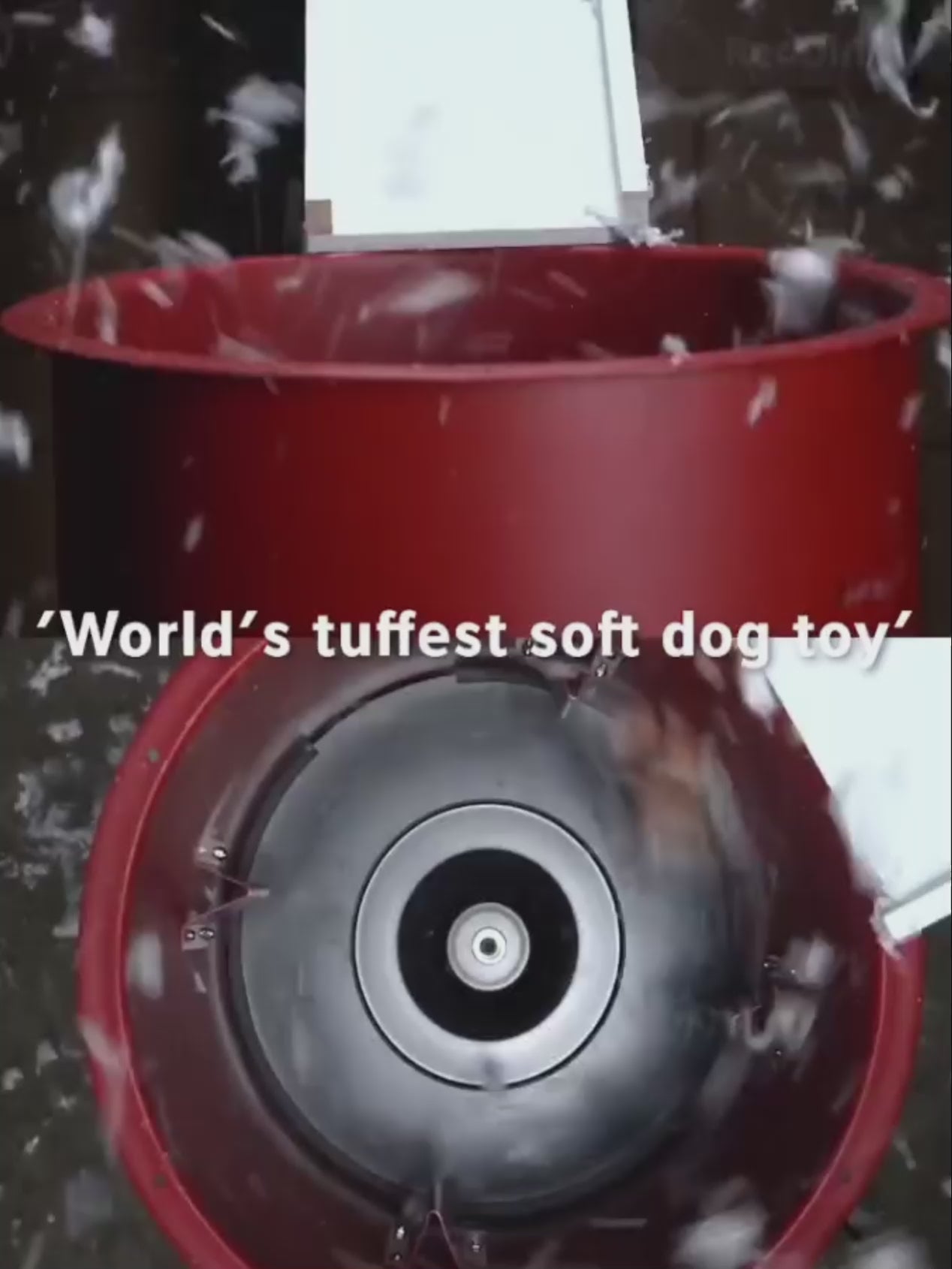 Juguete perro ultra durable - KOALA - RED DINGO