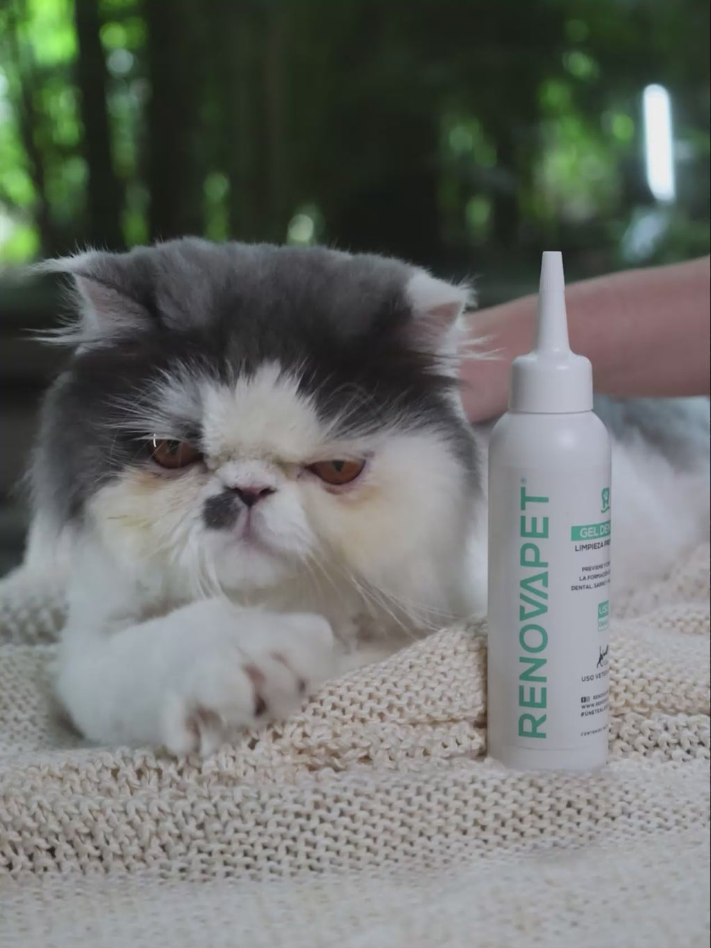 Dientes limpios y encías protegidas para perros y gatos | Renovapet Gel Dental con cepillo de silicona Ultra Care 250 gr. Reg. ICA 11530-CV